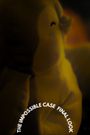 The Impossible Case: Final Look