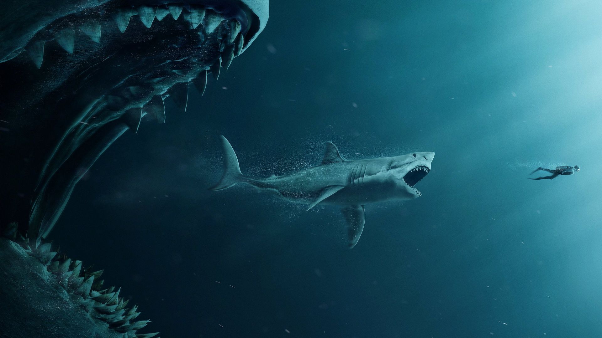 The Meg background