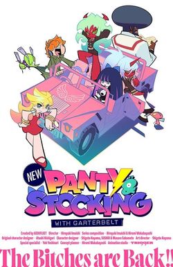 New PANTY & STOCKING with GARTERBELT