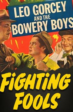 Fighting Fools