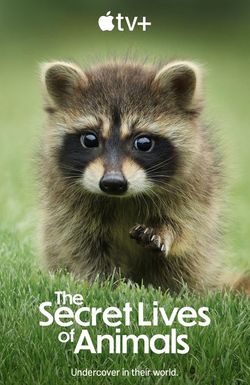 The Secret Lives of Animals
