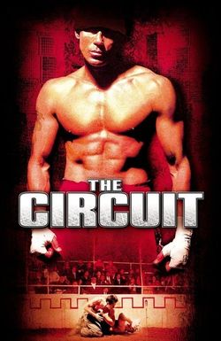 The Circuit