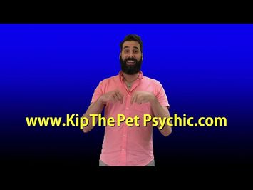 Kip the Pet Psychic commercial