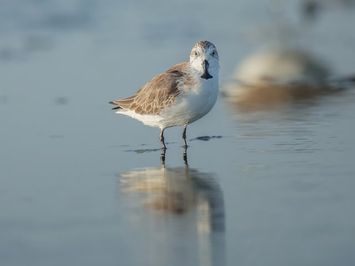 China: Between Clouds and Dreams - Trailer
