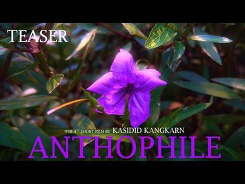 Anthophile | Short film Teaser