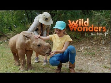 Wild Wonders with Brooke - Teaser