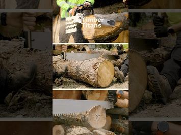 Timber Titans! The 2025 Ironwood Games! #forestry #arboriculture #heavyequipment #shorts
