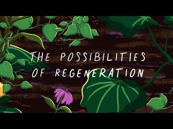 The Possibilities of Regeneration