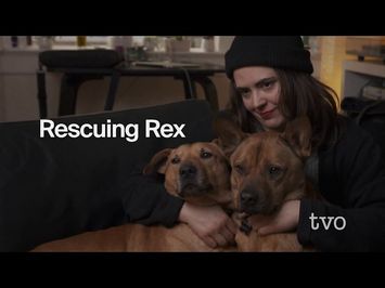 Rescuing Rex | Now on TVO Docs