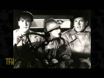 Larry Cohen on FOREIGN CORRESPONDENT
