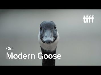 MODERN GOOSE Clip | TIFF 2023