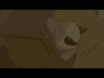 Stellaluna gets lost | Stellaluna