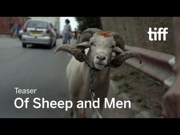OF SHEEP AND MEN Trailer | TIFF 2017