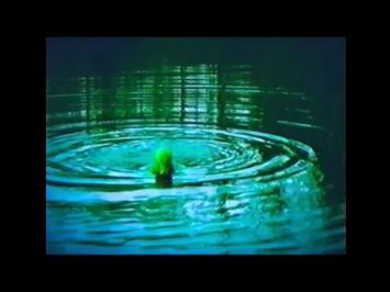 Fish Piss (unofficial trailer)