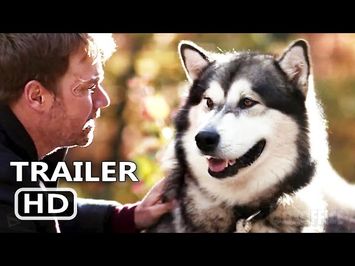 HERO DOG THE JOURNEY HOME Trailer (2021) Adventure Movie