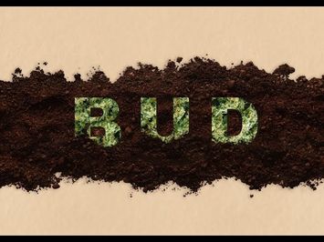 Bud (Short Film Trailer) 4K