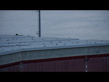 Double Around the Interlude (2022) excerpt