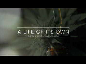 'A LIFE OF ITS OWN' The Truth About Medical Marijuana