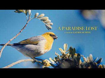 A PARADISE LOST TRAILER