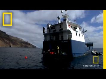 The Perfect Specimen | National Geographic