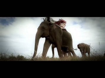 When Elephants Were Young Trailer 2016