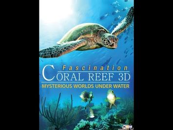 Trailer - FASCINATION CORAL REEF 3D - MYSTERIOUS WORLDS UNDER WATER