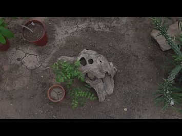 Tourist;Drifter | Feature-Length Documentary