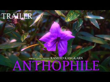 Anthophile | Short film trailer