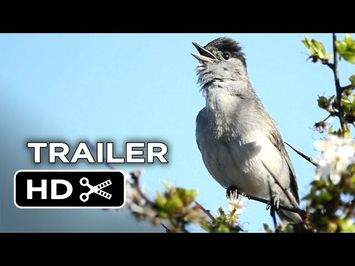 Emptying the Skies Official Trailer 1 (2015) - Documentary HD