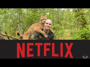 ? Return of the Wild: The Bearman of Buncrana now streaming on Netflix