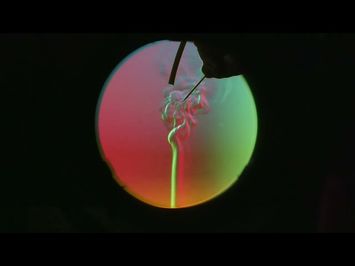 I See a Darkness (2023) Trailer