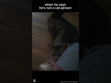 Cat Daddy