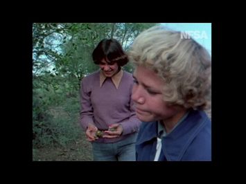 My Survival as an Aboriginal (1978) - Survival lessons