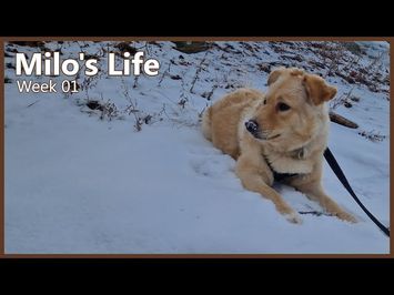 Eating Sticks | Week 01