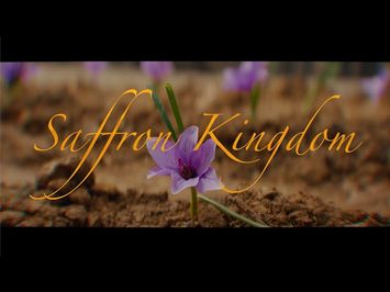 Saffron Kingdom | Official Trailer 2