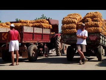 Varză, cartofi şi alți demoni (Documentar)