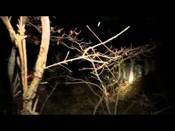 R51 Found Footage Trailer