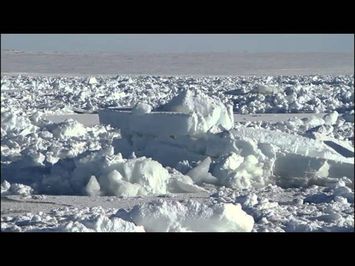 People of a Feather - Trailer