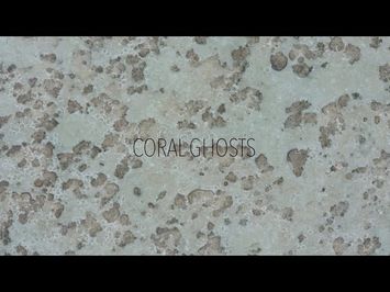 Coral Ghosts 2020