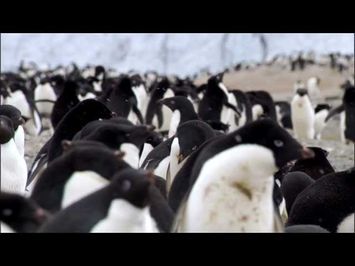 The Last Ocean - Official Trailer