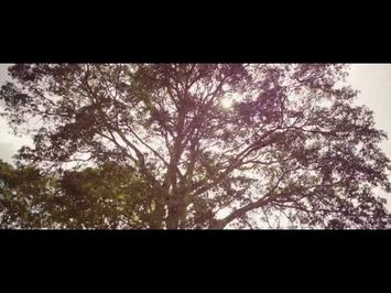 Something Necessary Official Trailer