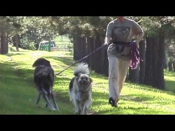 TRUE WOLF OFFICIAL THEATRICAL TRAILER 2012