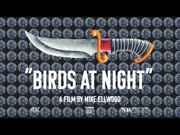 TRAILER | Birds at Night | a film by Mike Ellwood