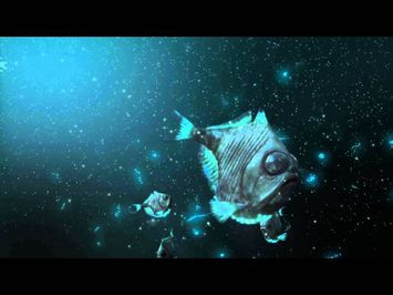 Deep Ocean Experience 3D - TRAILER