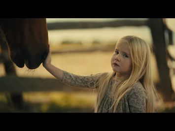 The Horse