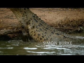 Animal Arms Race - Trailer - 2019