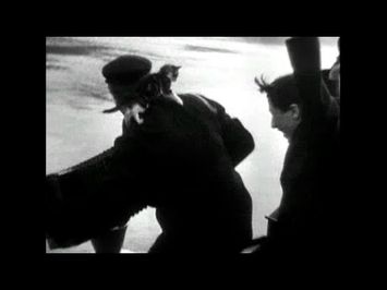 'C'Atalante' cat montage