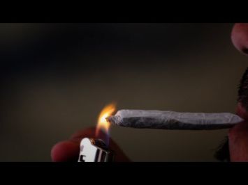 EVERGREEN: THE ROAD TO LEGALIZATION [Official HD Trailer - 2013]