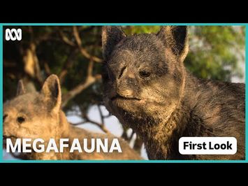 Megafauna: What Killed Australia's Giants?