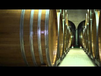SOMM - Official Trailer